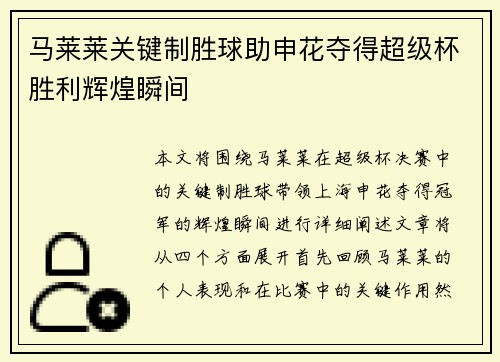 马莱莱关键制胜球助申花夺得超级杯胜利辉煌瞬间